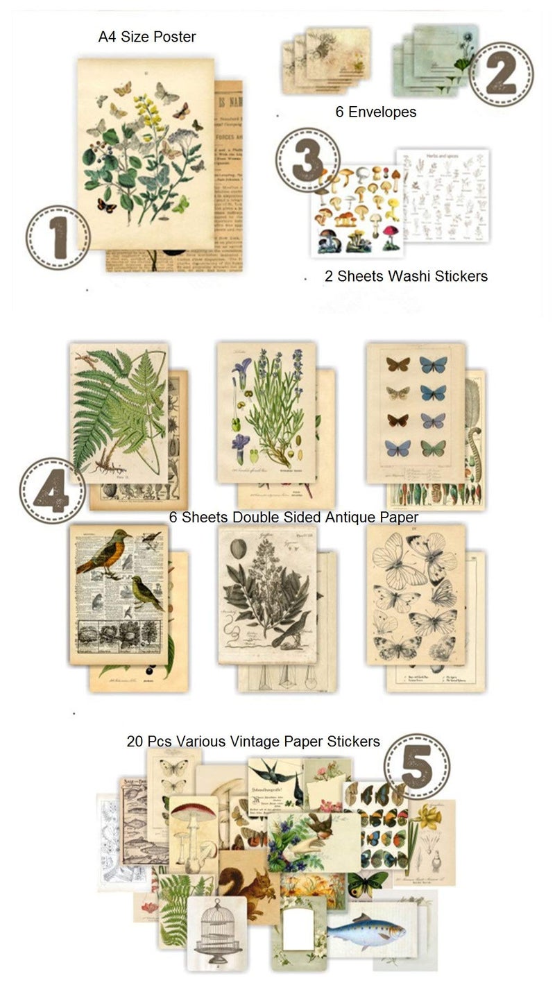 DESEACO Vintage Aesthetic Posters for Wall Decor, Green Botanical Art for Teen Girlsâ€™ Rooms, Cute Plant Journaling Supplies and Nature-Inspired Collage Kit - Image 4